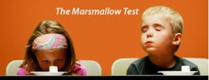 impulse control (marshmallow test)